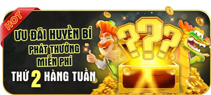 Hoàn trả tiền cược hàng tuần Netwin